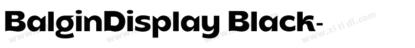 BalginDisplay Black字体转换